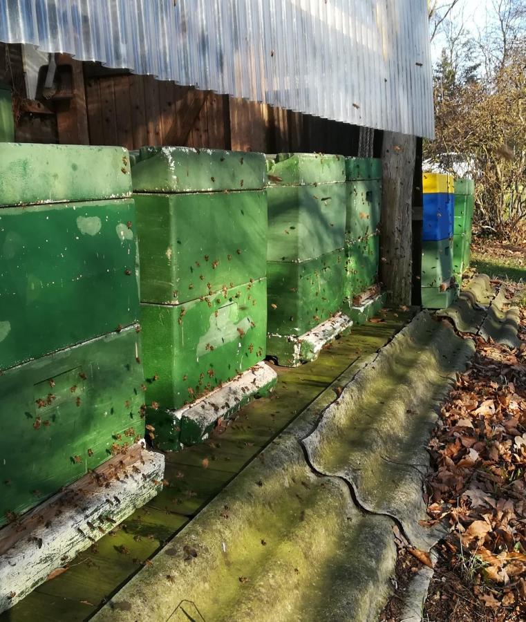 Ferienwohnung Wiesenweg Bad Bederkesa Bagian luar foto